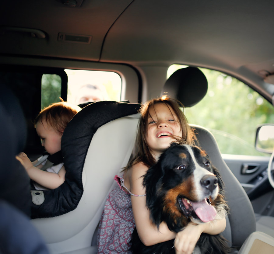 Young child with dog on family vehicle
