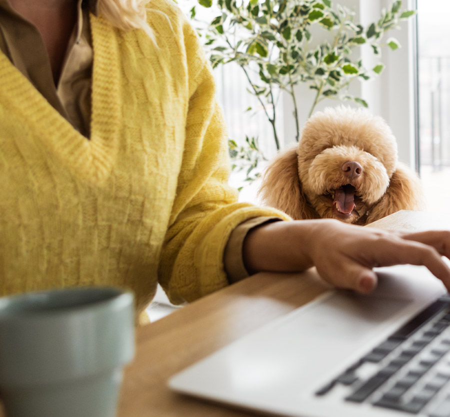Woman at computer with pet dog near by