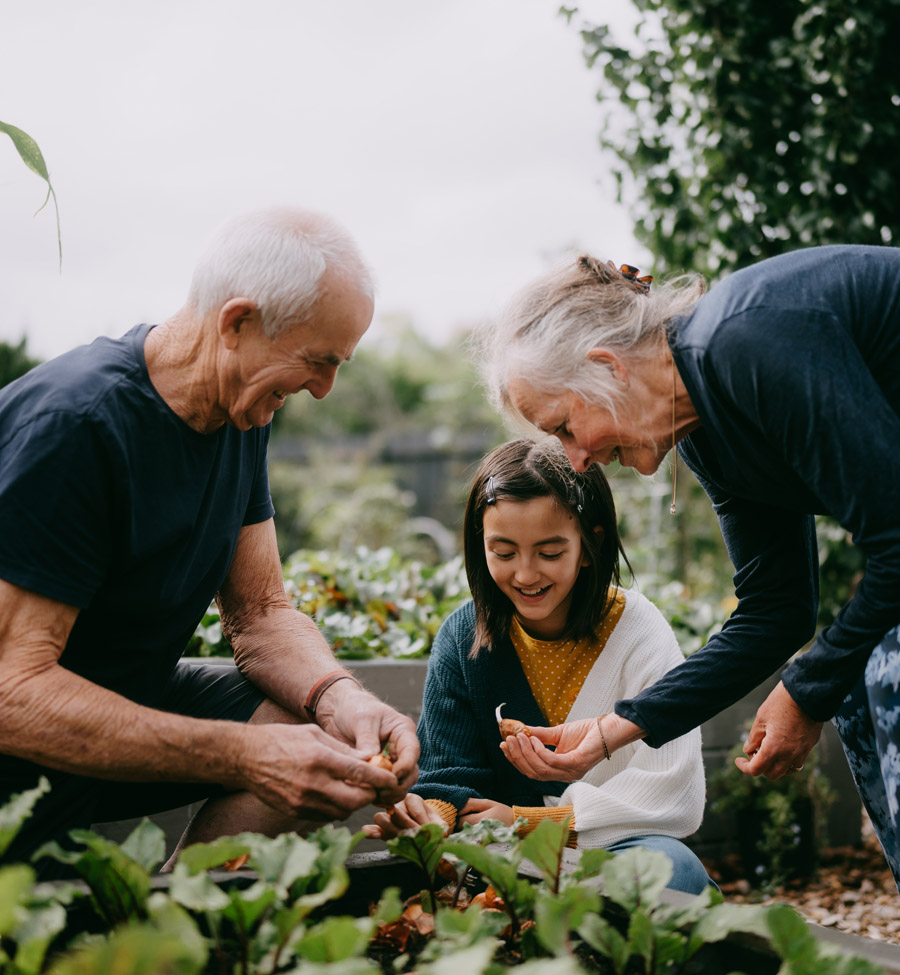Grandparents gardening together with granddaughter.