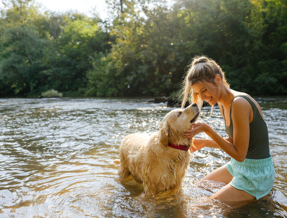 A woman and her golden retriever playing in a river.